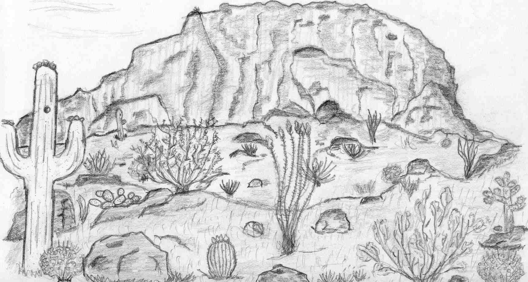 lizardpeak