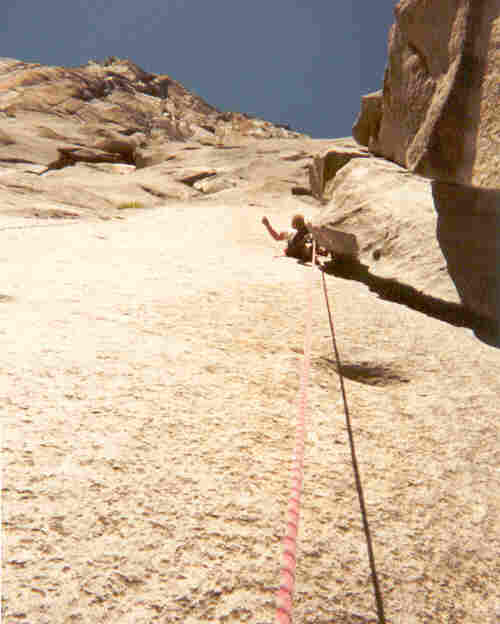 tim el cap