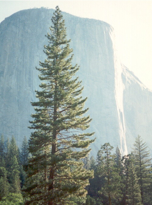 El Capitan