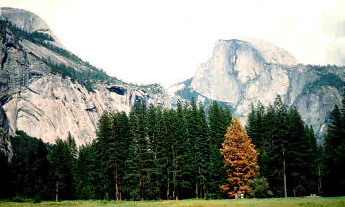 half dome from valley