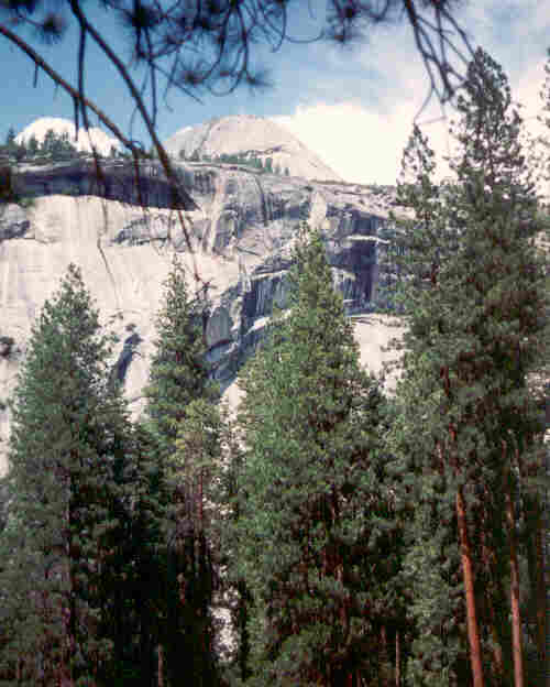 royalarches
