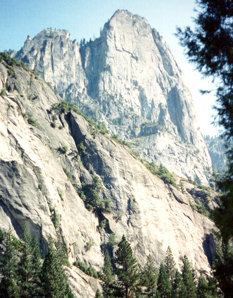 Sentinel